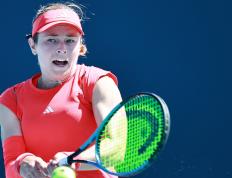 九游娱乐-科维托娃遭遇十连败，利物浦教练面临压力！的简单介绍